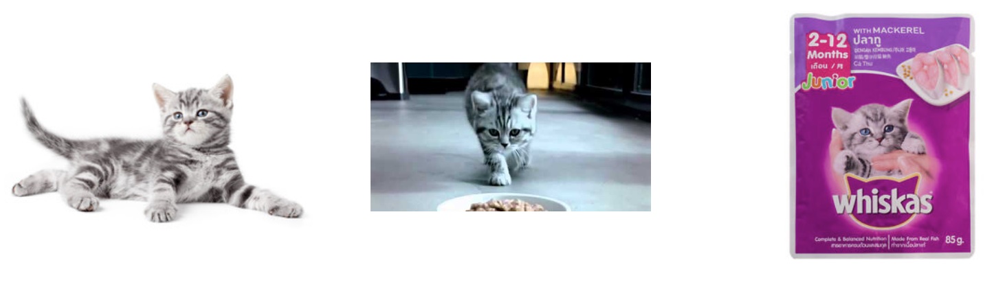 brand-assets-whiskas-cat-commercial.jpg